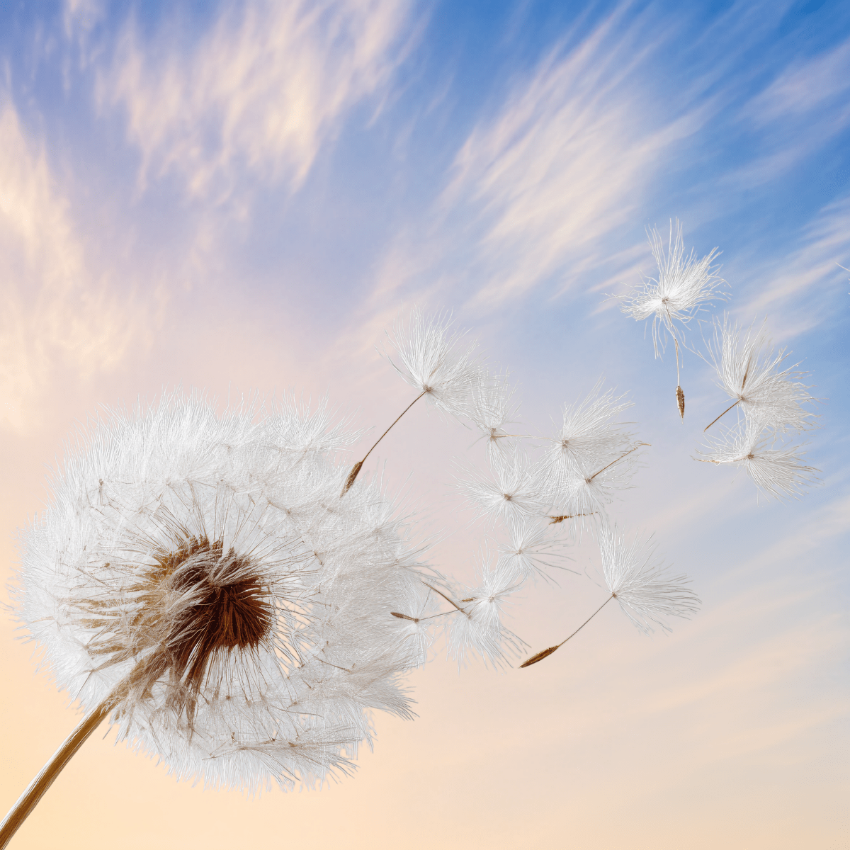 Letting go of past 2026 (2)